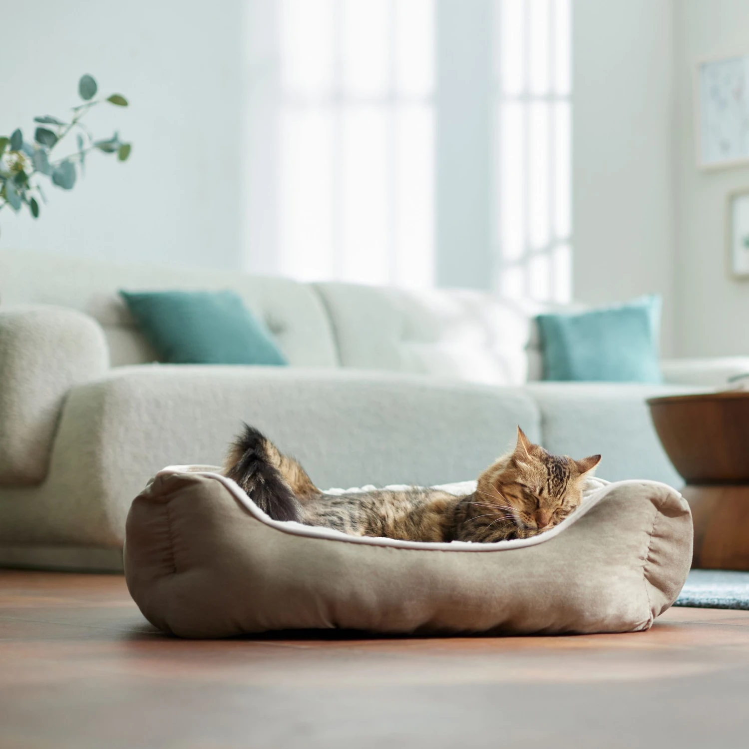 Frisco Rectangular Bolster Cat & Dog Bed - Image 3