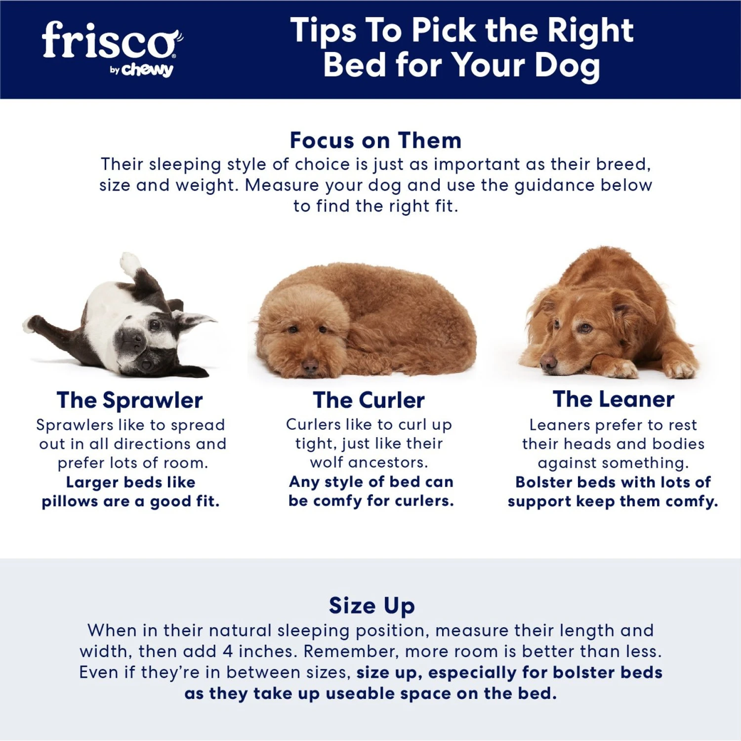 Frisco Rectangular Bolster Cat & Dog Bed - Image 6