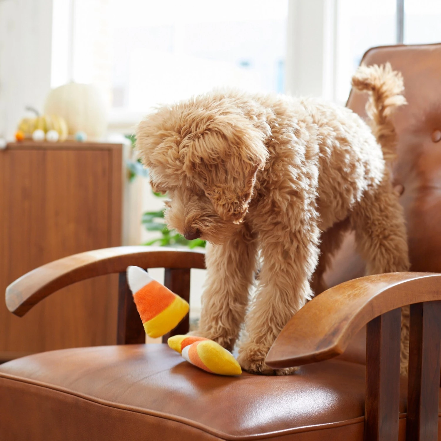 Frisco Halloween Candy Corn Plush Squeaky Dog Toy - Image 3