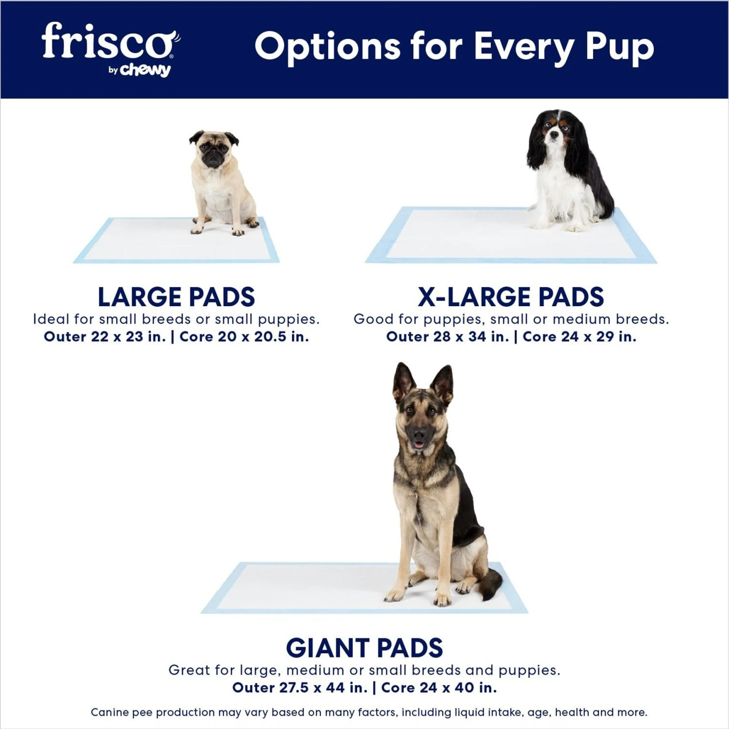 Frisco Large Eco-Conscious Dog Training & Potty Pads - Image 4