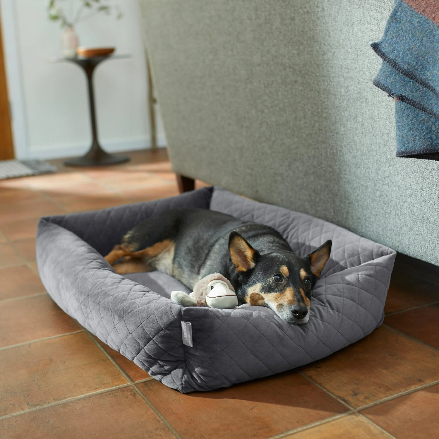 Frisco Velvet Rectangular Bolster Cat & Dog Bed