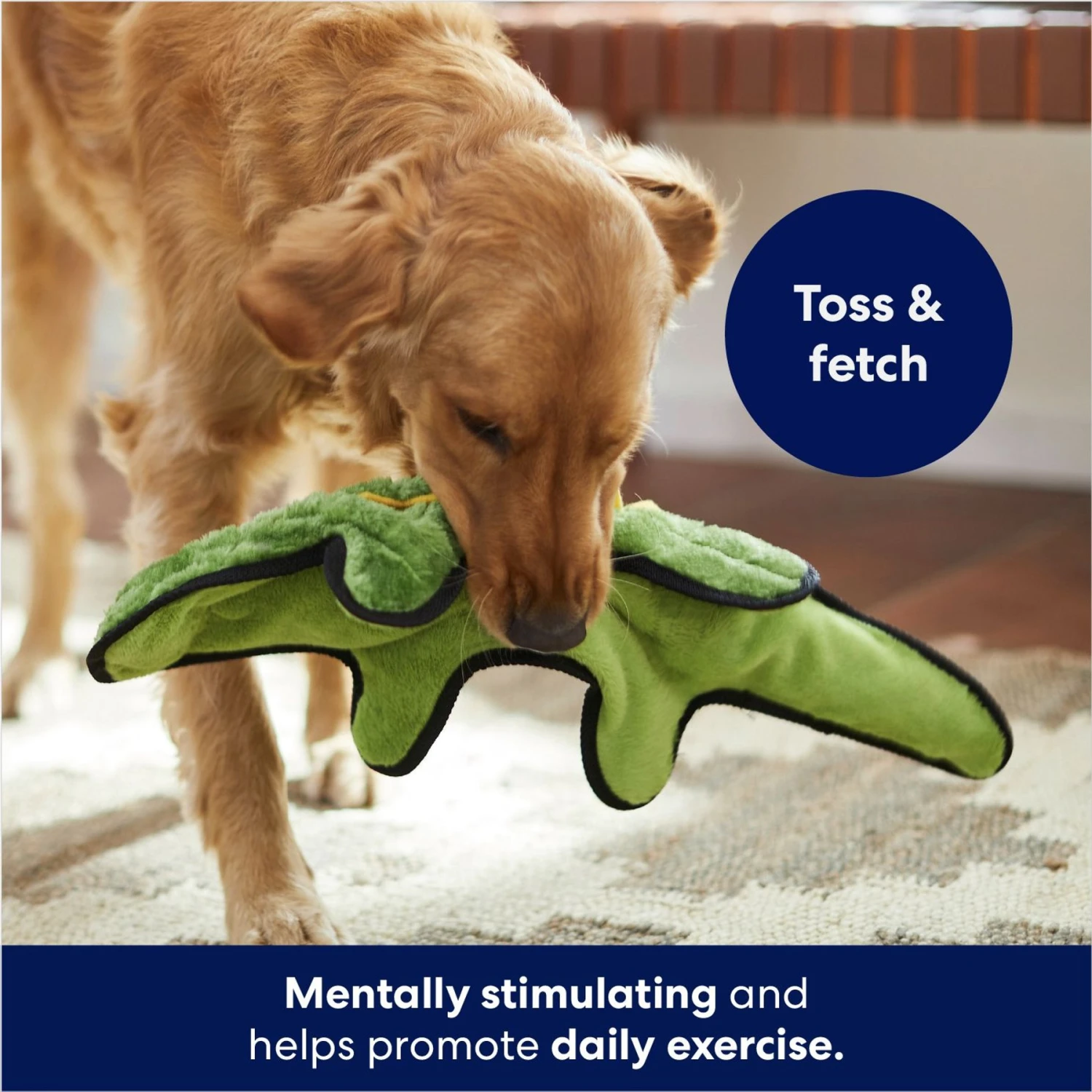 Frisco Alligator Stuffing-Free Flat Plush Squeaky Dog Toy - Image 3