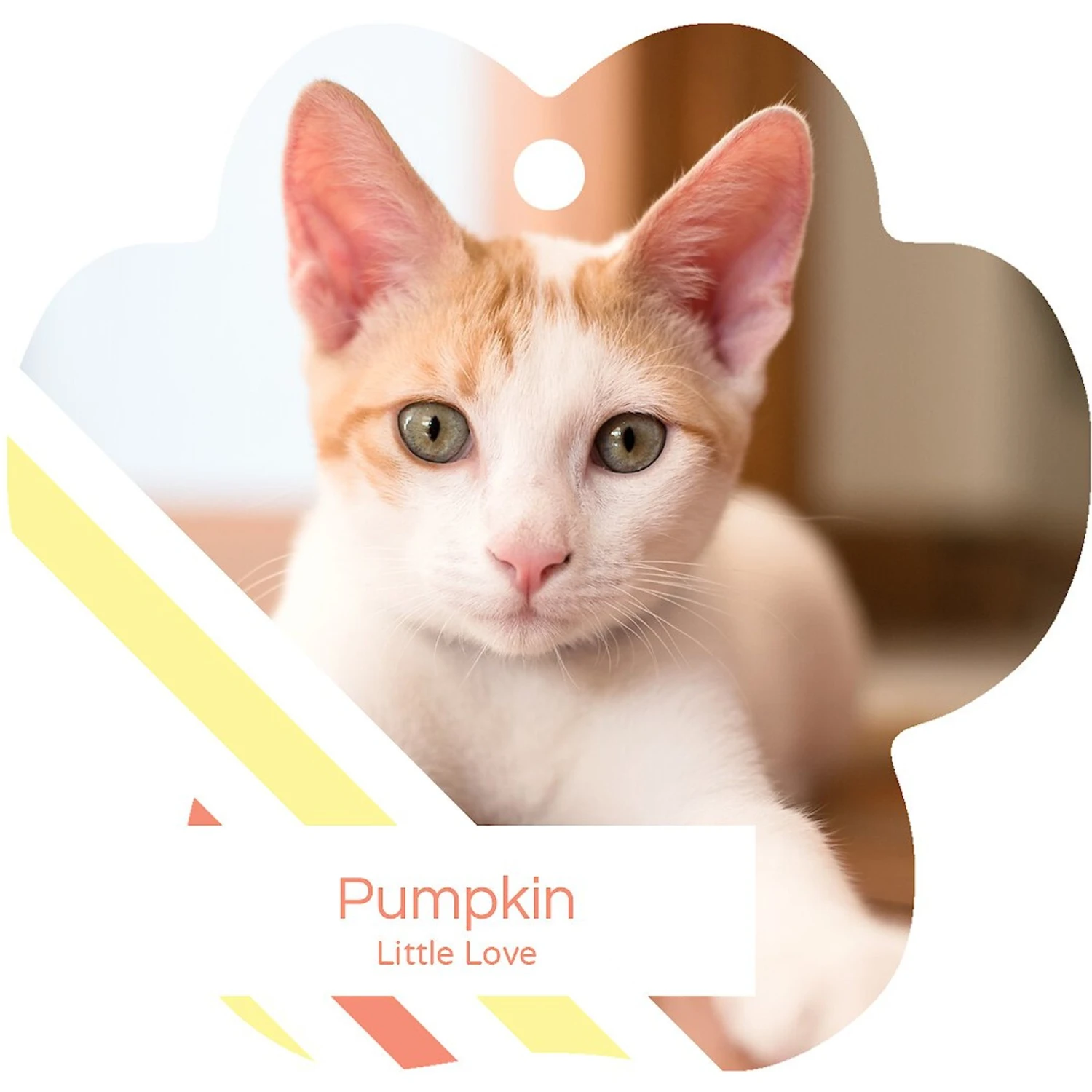 Frisco Peppermint Stripes Paw Shape Metal Personalized Dog & Cat Holiday Ornament - Image 3