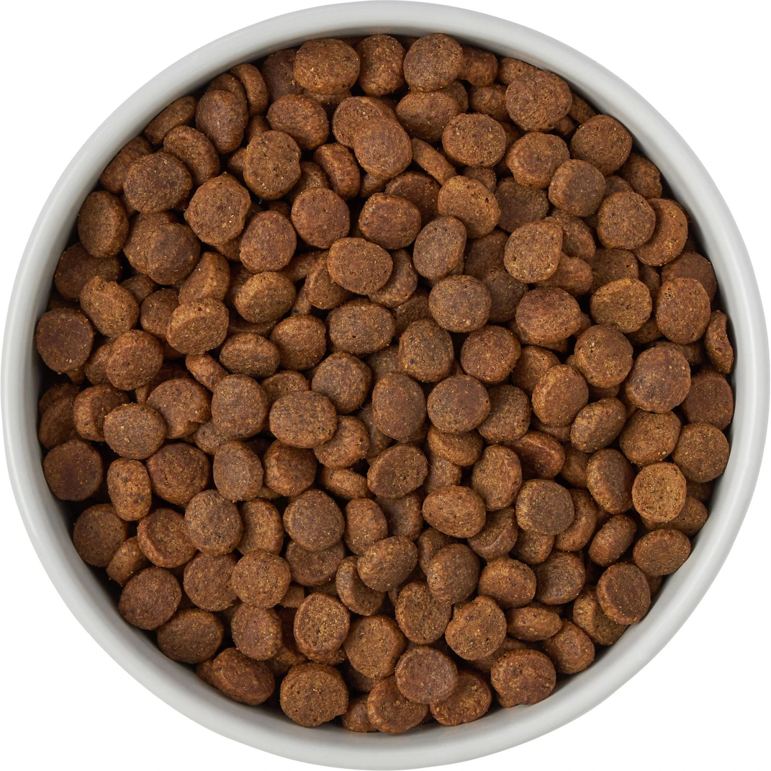 Frisco Ceramic Food Dog & Cat Bowl With Wood Base - Image 5