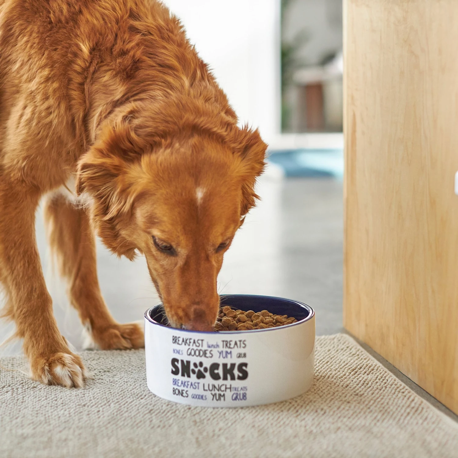 Frisco Food & Paw Non-skid Ceramic Dog Bowl - Image 3