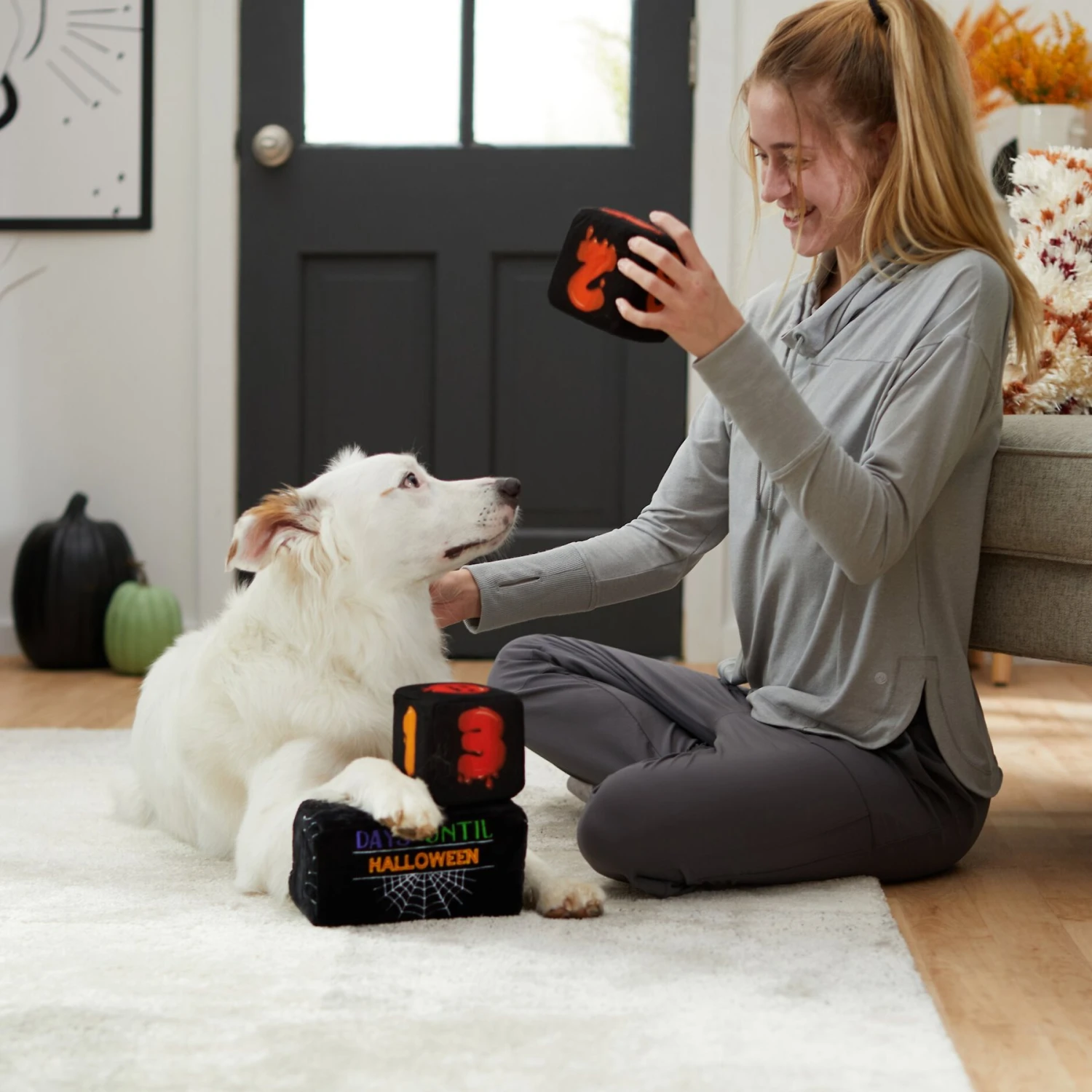 Frisco Halloween 30 Days Of Halloween Countdown Blocks Plush Squeaky Dog Toy - Image 3