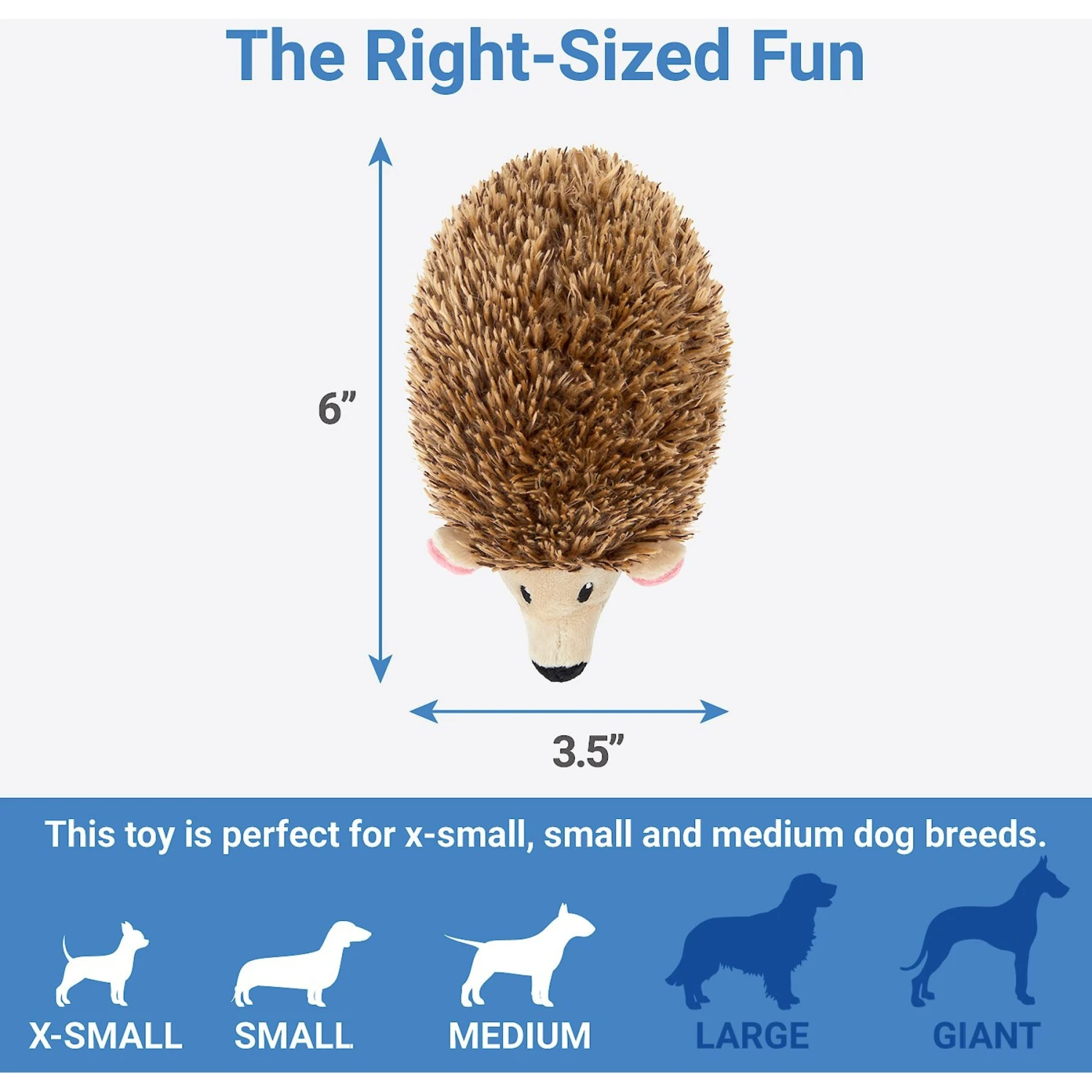 Frisco Camping Hedgehog Plush Squeaky Dog Toy - Image 2