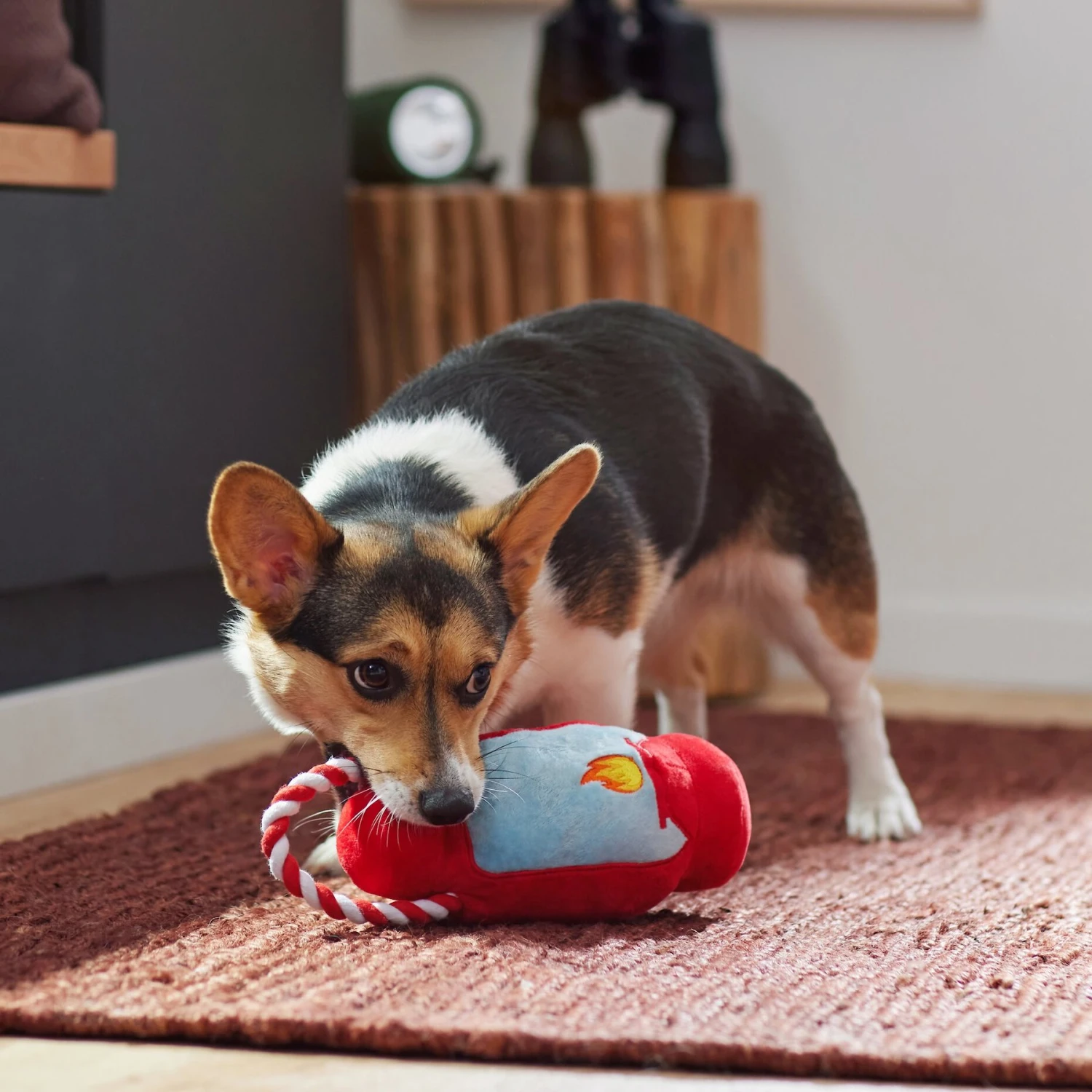 Frisco Camping Lantern Plush With Rope Squeaky Dog Toy - Image 3