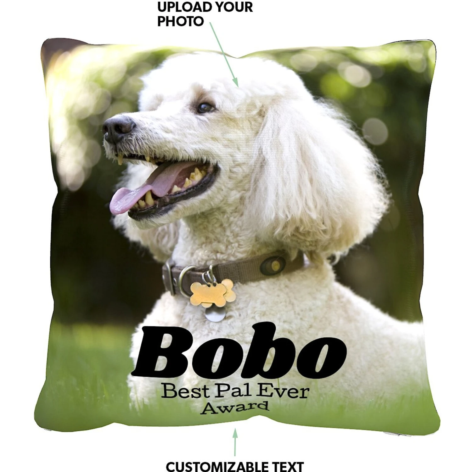 Frisco Personalized Basic Throw Pillow, 16" X 16" - Image 2