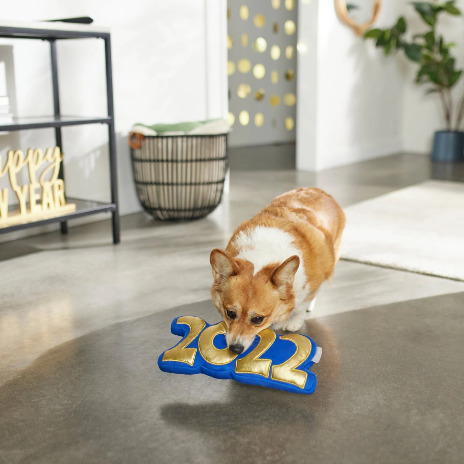 Frisco New Year's Eve 2022 Plush Squeaky Dog Toy - Image 4