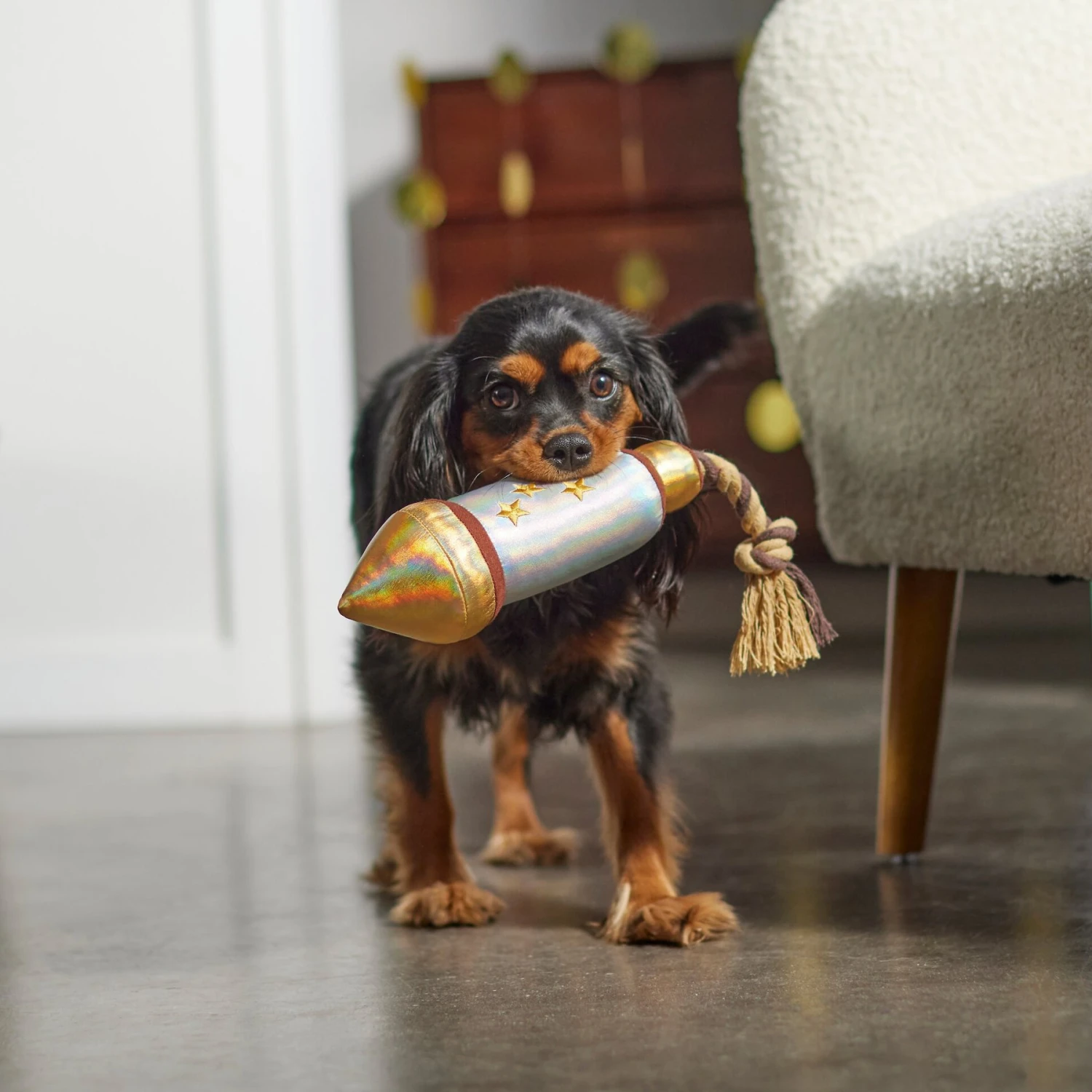 Frisco Firework Plush With Rope Squeaky Dog Toy - Image 3