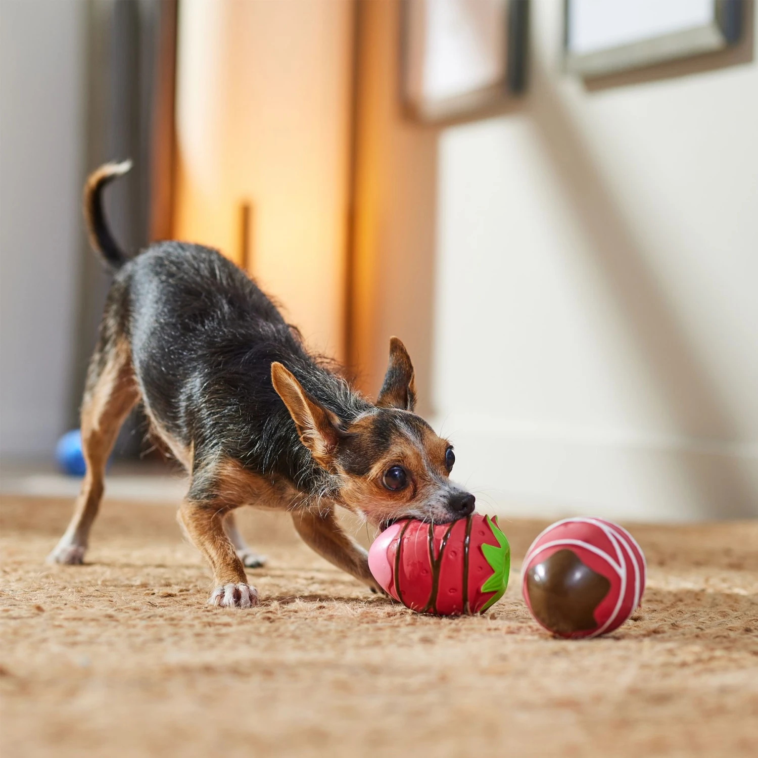 Frisco Valentine Chocolate Covered Strawberries Latex Squeaky Dog Toy - Image 3