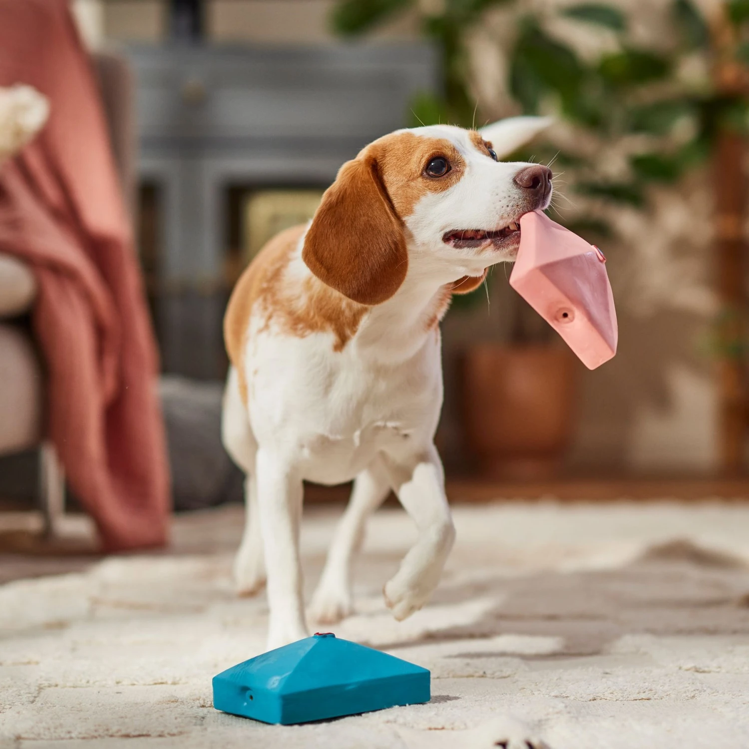 Frisco Valentine Love Letters Latex Squeaky Dog Toy - Image 3