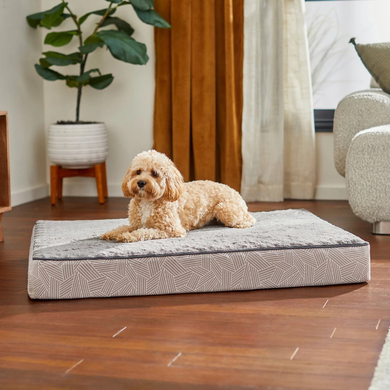 Frisco Ortho Lounger Dog & Cat Bed