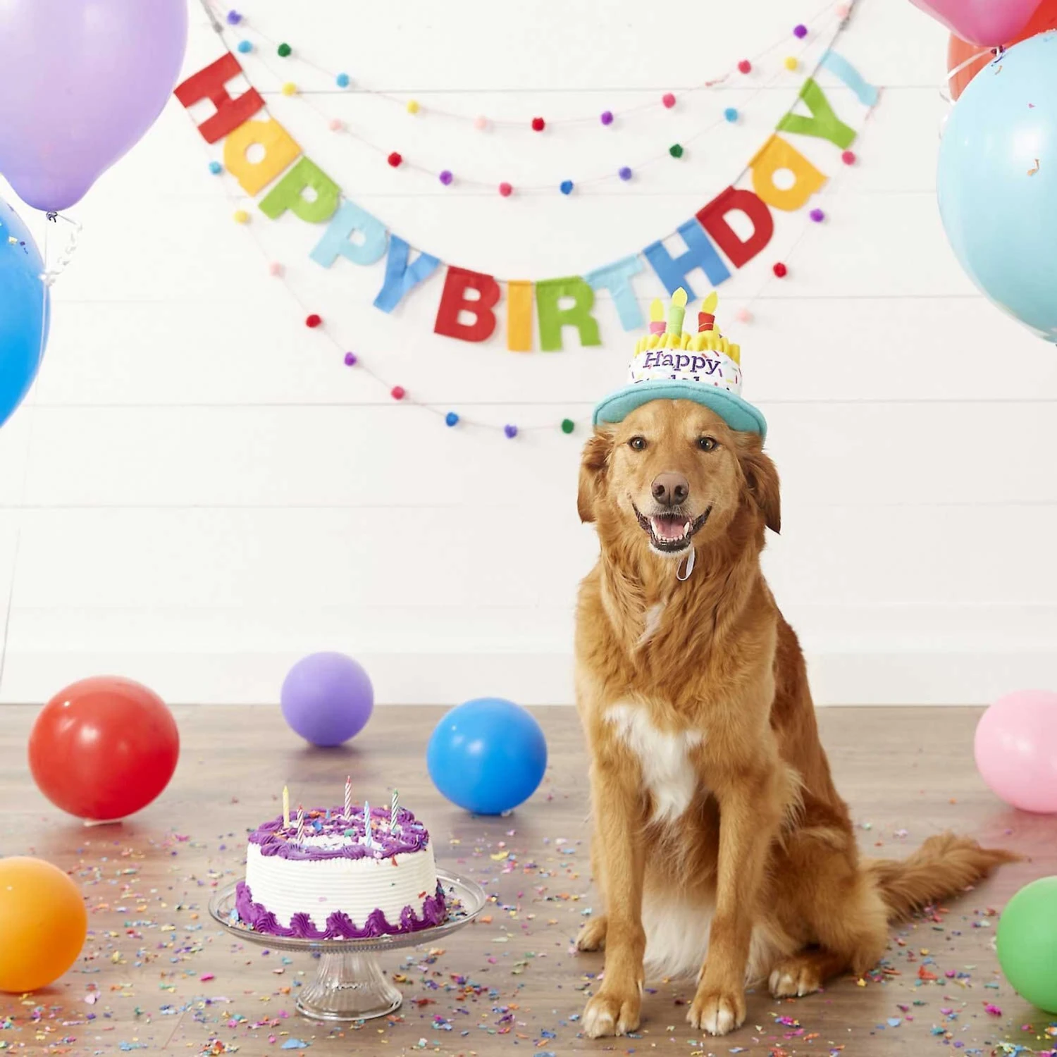 Frisco Birthday Cake Dog & Cat Hat & Frisco It's My Birthday Dog & Cat T-Shirt, Pink - Image 4