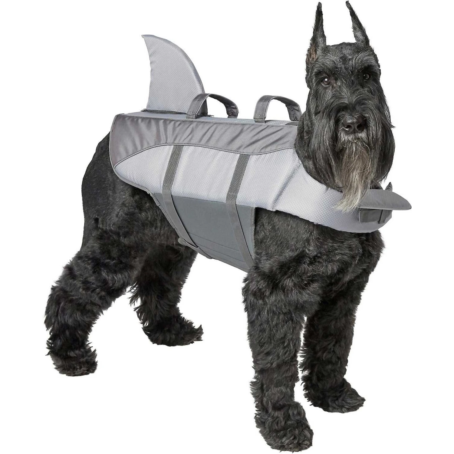 Frisco Shark Dog Life Jacket & Frisco Foam Rubber Floating Fetch Ball No Squeak Dog Toy - Image 2