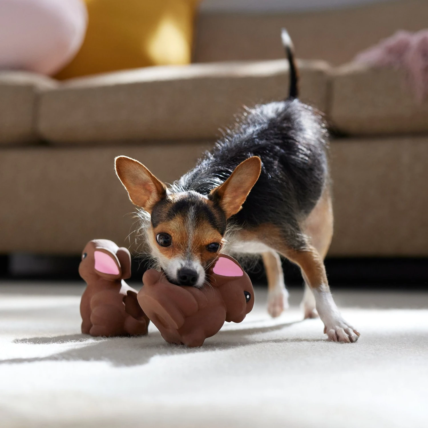 Frisco Easter Chocolate Bunnies Latex Squeaky Dog Toy - Image 3