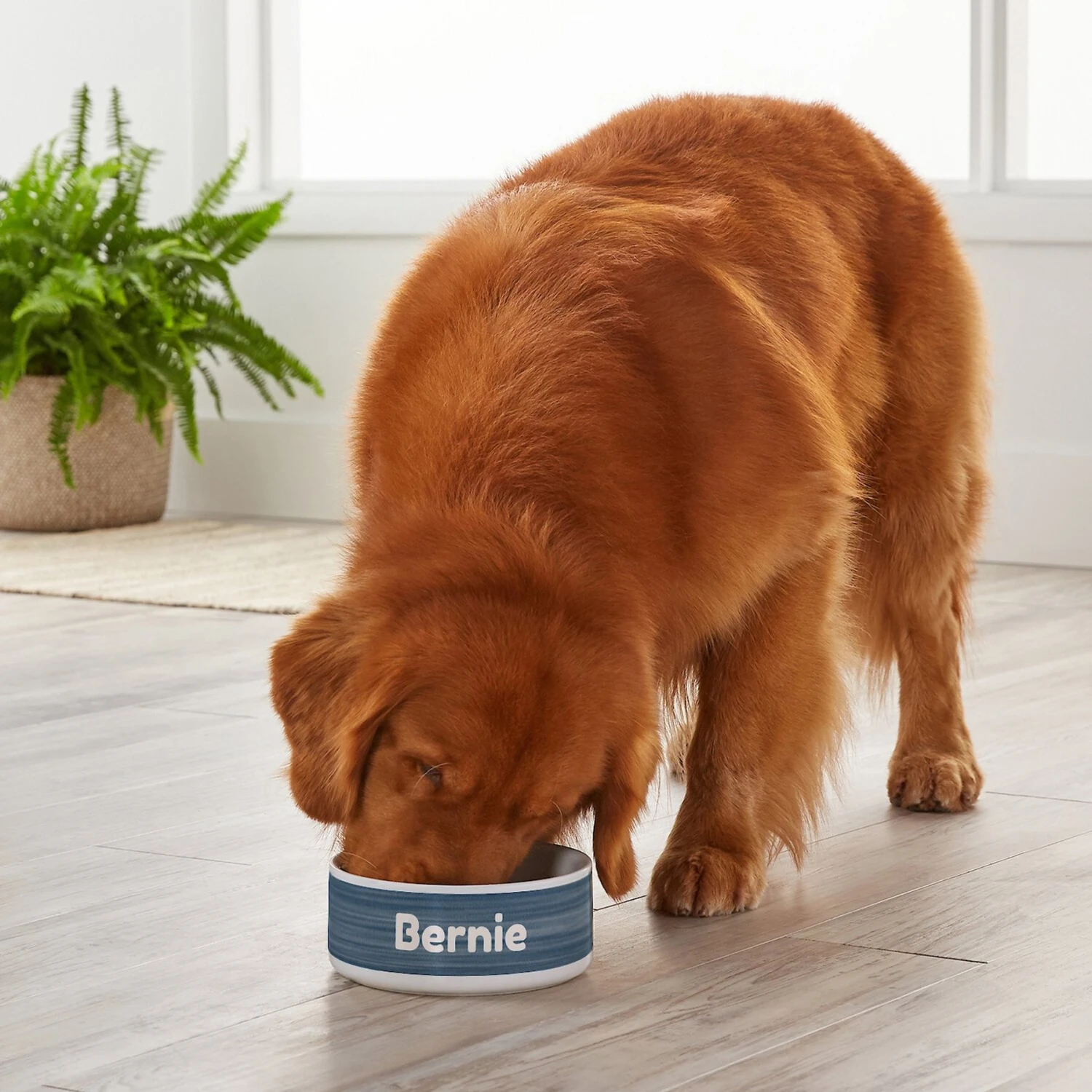 Frisco Personalized Heathered Ceramic Dog Bowl, 4.75-cup, 38oz - Image 5
