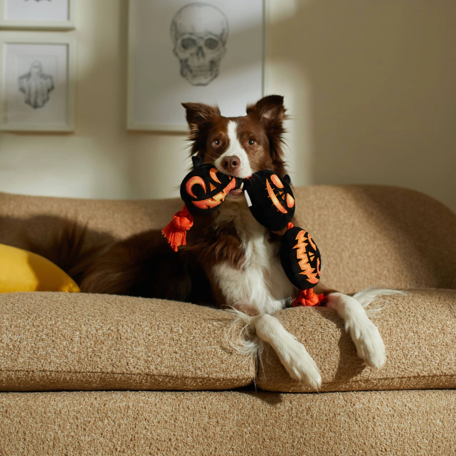 Frisco Halloween Pumpkins Plush With Rope Squeaky Dog Toy - Image 3