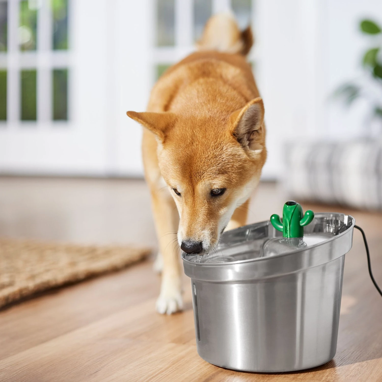 Frisco Stainless Steel Cactus & Leaf Dog & Cat Fountain - Image 6