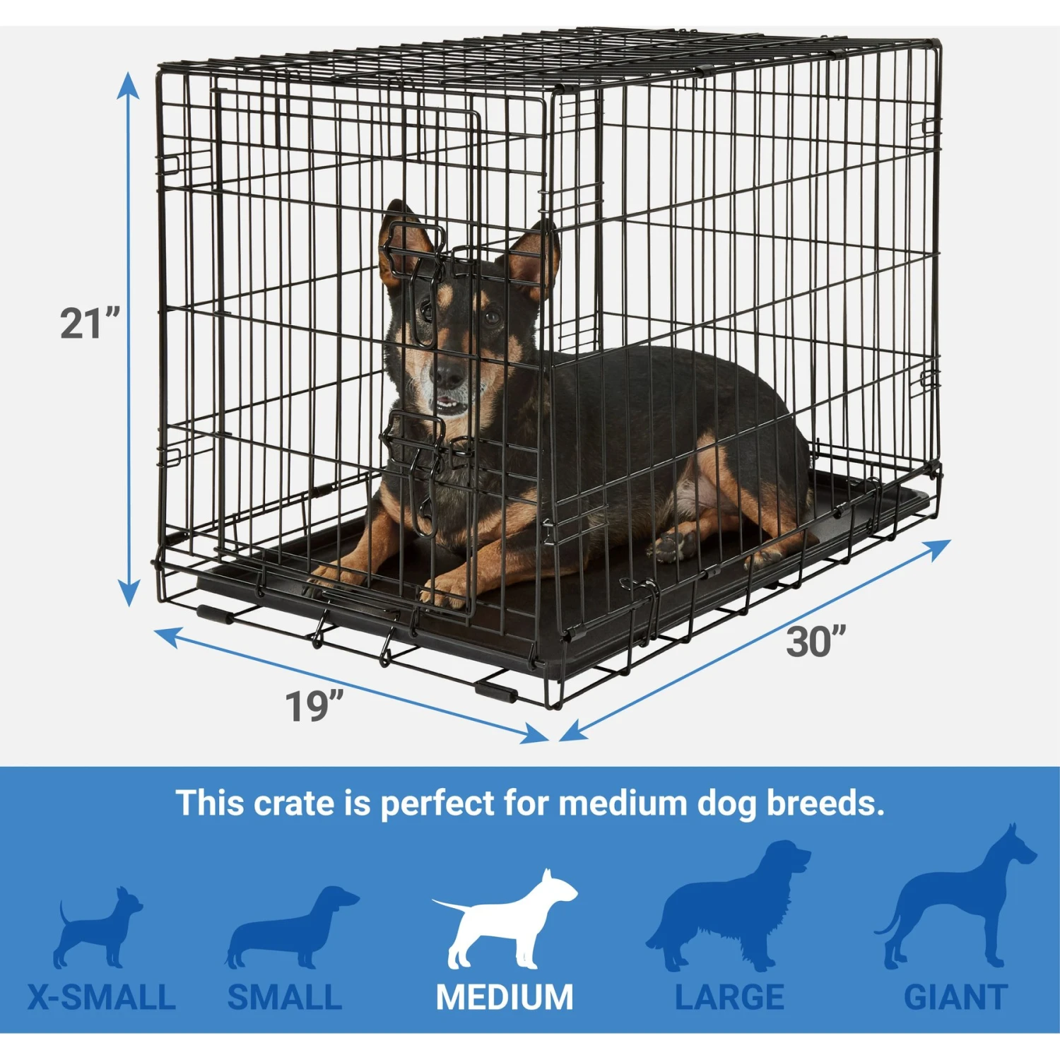 Frisco Fold & Carry Single Door Collapsible Wire Dog Crate + 4 Items - Image 3