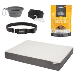 Frisco Solid Nylon Dog Leash + 4 Items